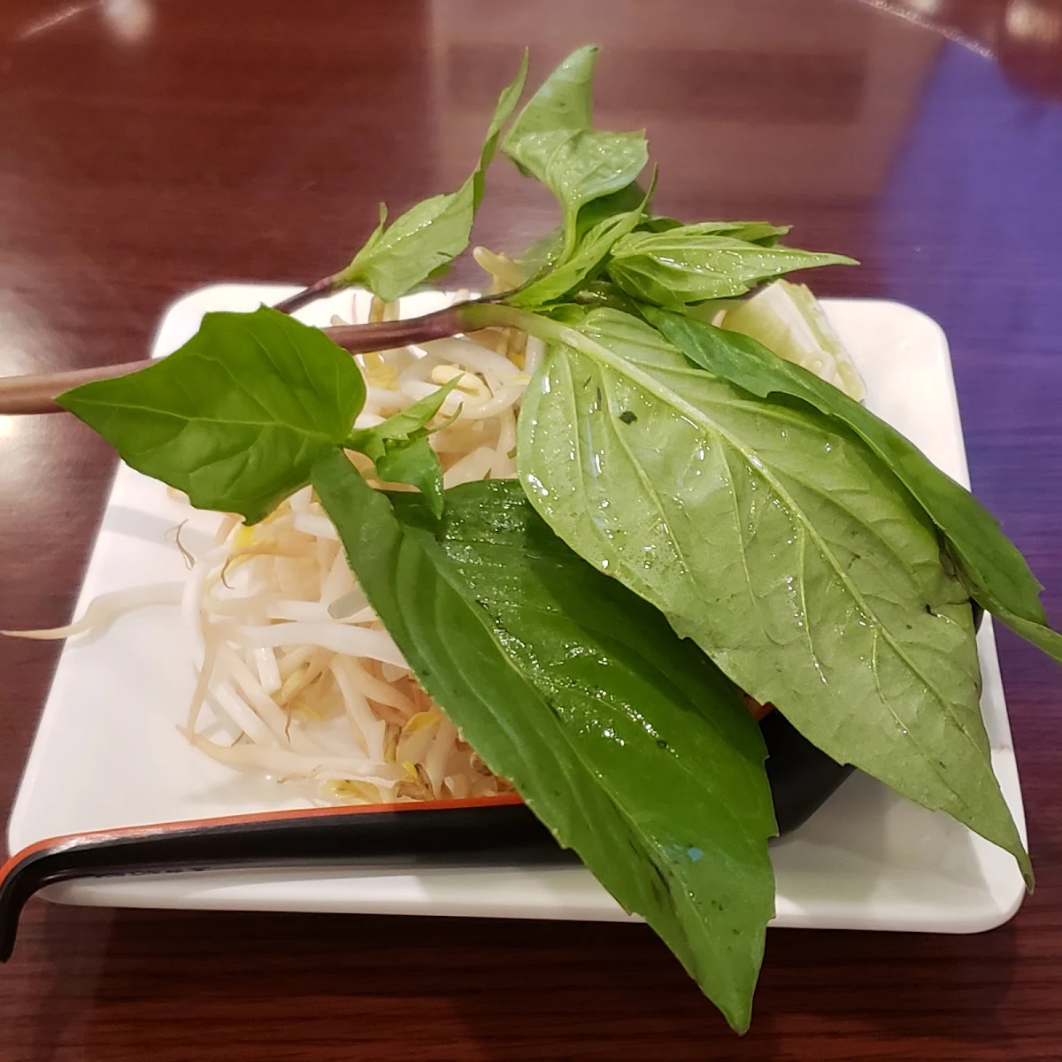 Phở Chay 越南河粉汤